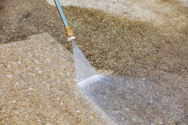 Best Animal Enclosure Cleaning  in New Vienna, OH